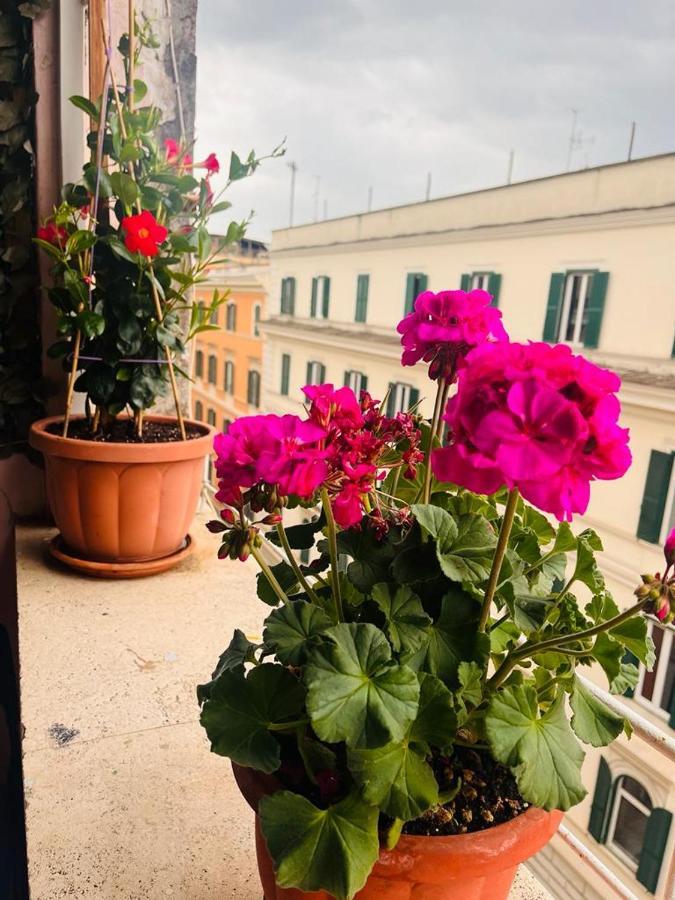 Affittacamere Hill Town Roma