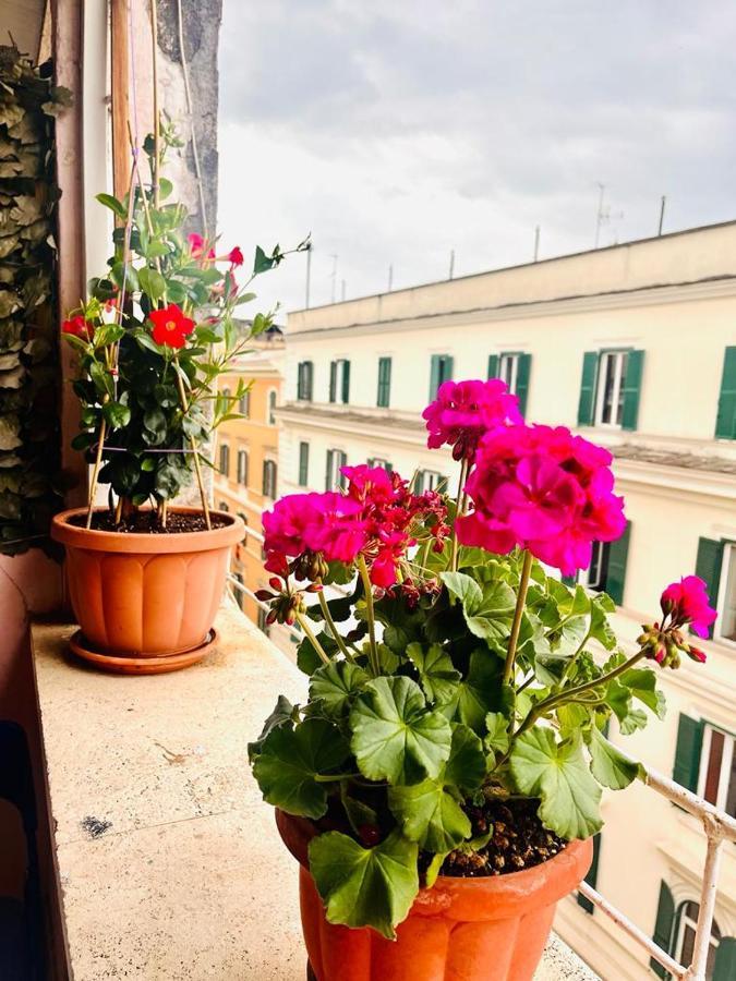 Hill Town Affittacamere Roma